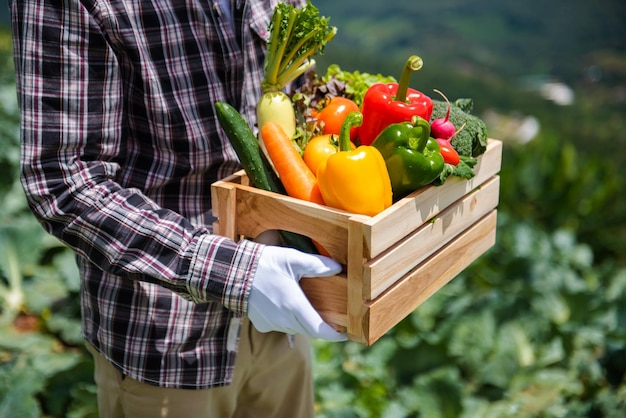 Мужчина собирает свежие овощи на ферме во время досуга conceptxA