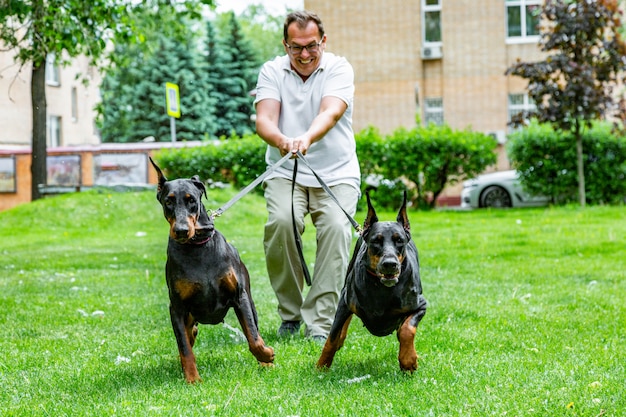 Man having fun and playing with his dogs in the park.