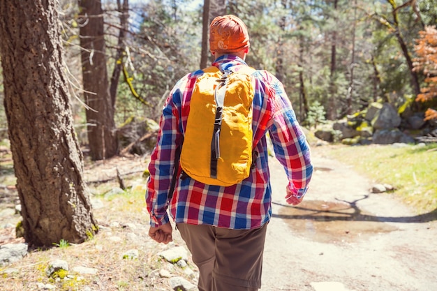 Man hiking bay the trail in the forest.