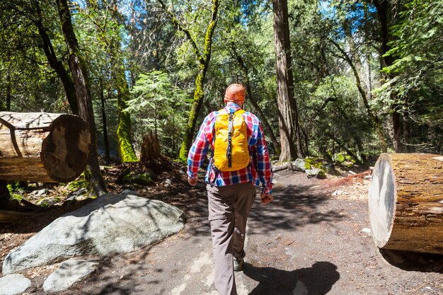 Man hiking bay the trail in the forest.