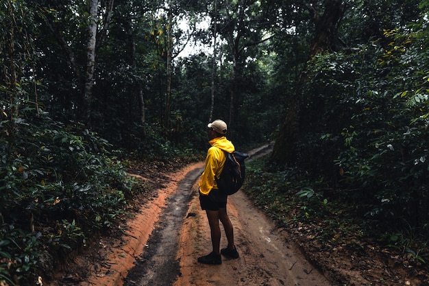 Man hiking and exploring forest area and yellow raincoat