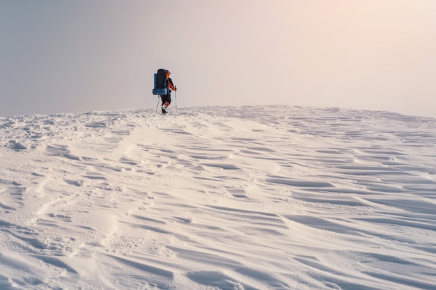 Equipaggi l'escursione con lo zaino e le racchette da neve in montagna dell'inverno