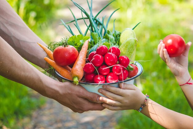 Un uomo e suo figlio in giardino con le verdure in mano