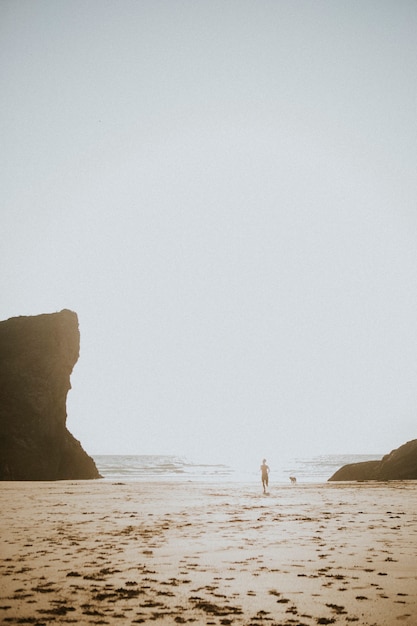 Photo man and his dog playing at the beach