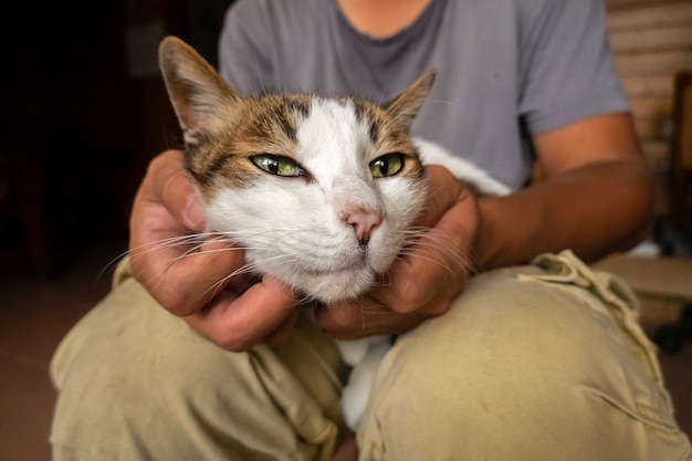 Man hold his cat on his thighs and play with him at home