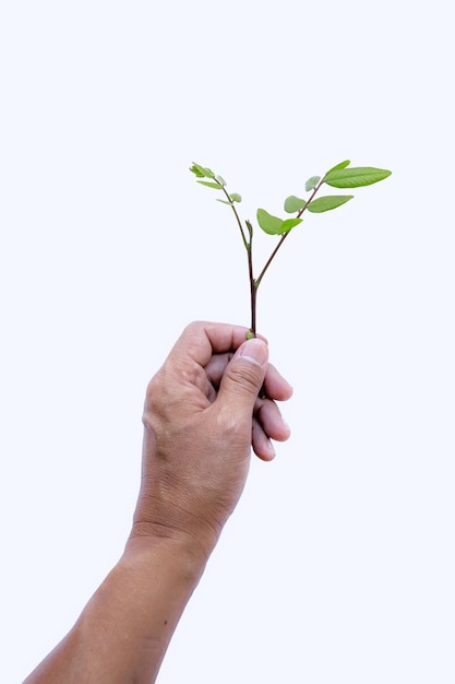 A man holding a branch of a plant with the word love on it.