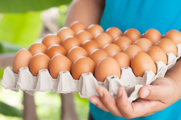 Man Holding The Carton of Eggs