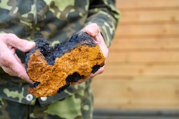 Man holding a Chaga mushroom