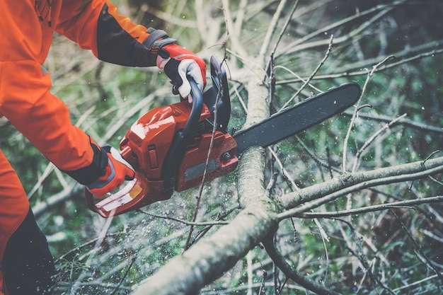 Man holding a chainsaw cut trees lumberjack at work gardener working outdoor in the forest