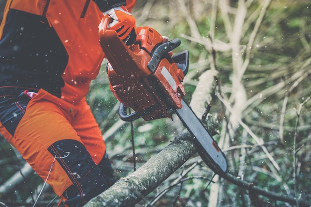 Man holding a chainsaw cut trees lumberjack at work gardener working outdoor in the forest