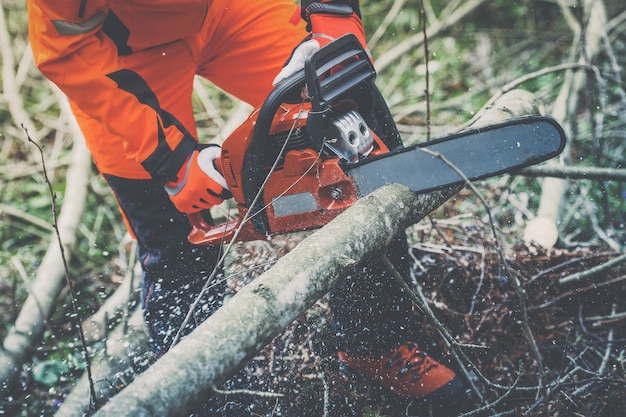 Photo man holding a chainsaw cut the  trees lumberjack at work gardener working outdoors  in the forest