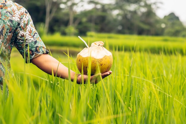 Equipaggi la bevanda della noce di cocco della tenuta con la paglia a disposizione