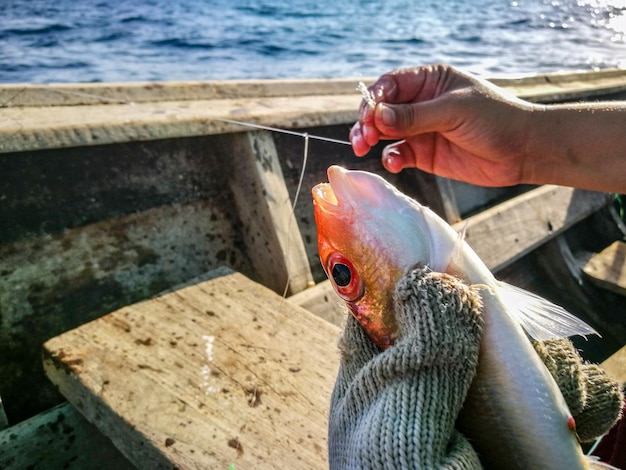 Foto uomo che tiene un pesce in mare