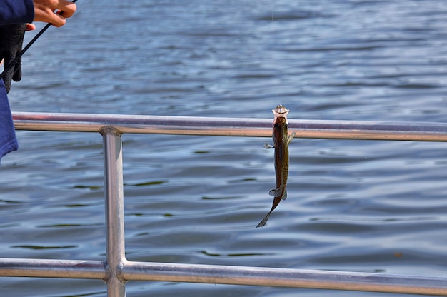 写真 湖のそばで釣り竿を持った男