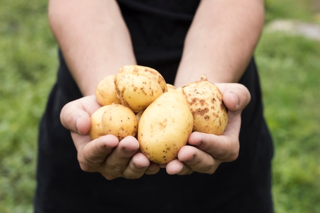 Photo man holding fresh potatoes