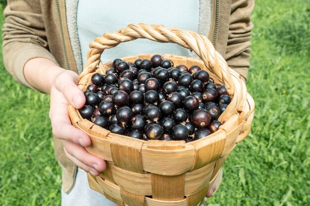 A man holding a full basket of blackcurrants