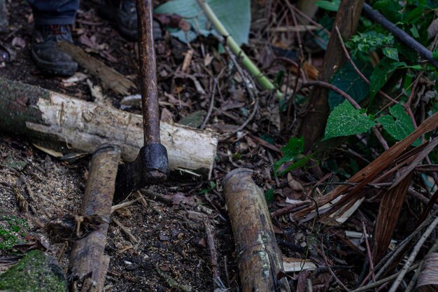 Man holding heavy Axe in lumberjack hands chopping or cutting wood trunks