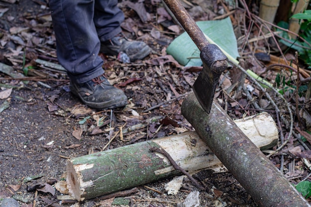 Man holding heavy Axe in lumberjack hands chopping or cutting wood trunks