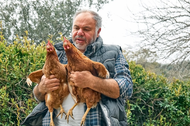 Фото Мужчина с курицами в руках на ферме, свободно пасущий домашних куриц на традиционной органической ферме