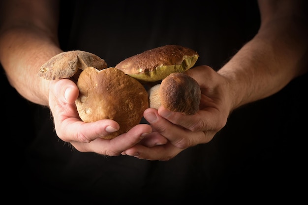 Man holding king bolete in hand Rustic style