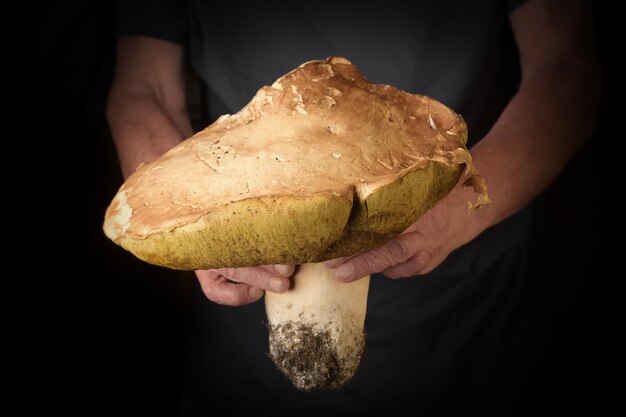 Man holding king bolete in hand Rustic style