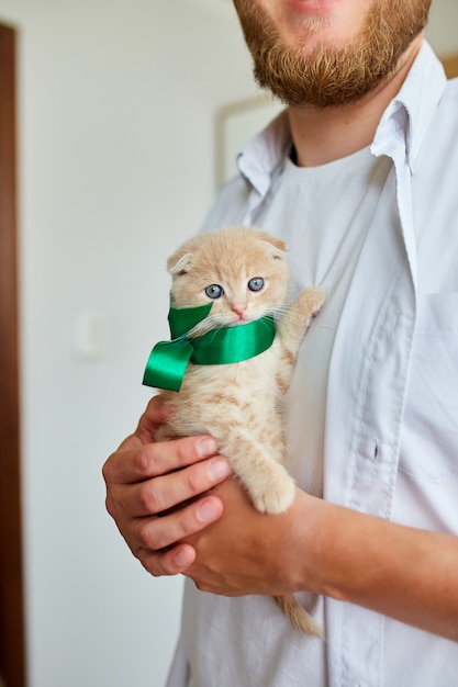 Man holding little kitten in hand, surprise presenting cat