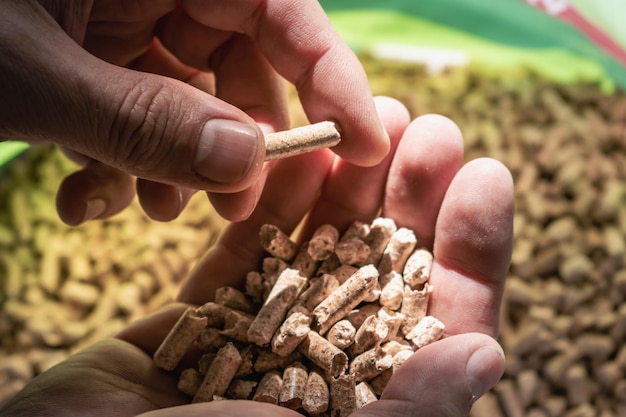 Photo man holding pellet for stove