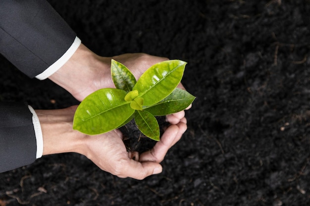 A man holding a plant in his hands