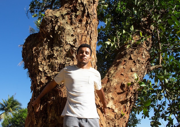 Man holding and protecting the trunk of a large tree in a sunny day