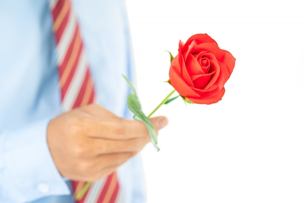 Мужчина держит красную розу в руке на белом