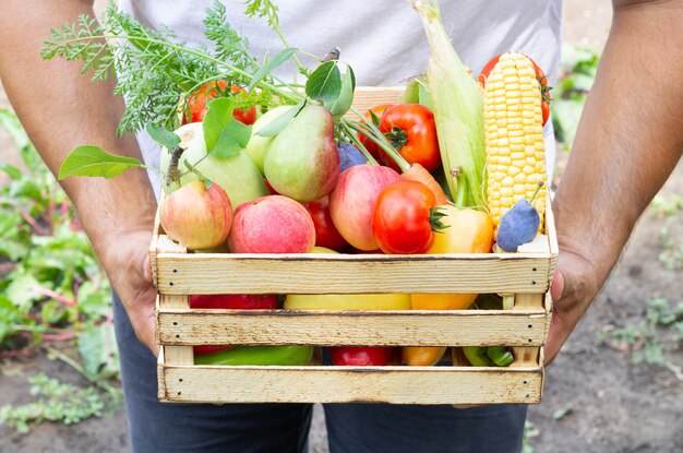 新鮮なエコ野菜や果物の素朴な木枠を抱きかかえた。有機健康食品のコンセプト