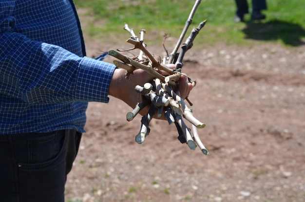 Photo man holding stick on field