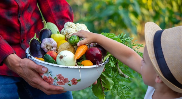 男は農場からの新鮮な野菜のボウルを手に持っています。自然。セレクティブフォーカス