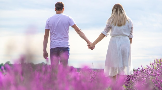 A man holds a girl by the hand in a field of lavender Selective focus