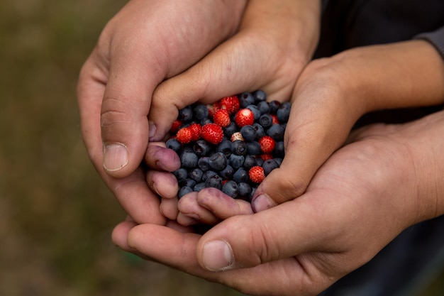 A man holds a handful of blueberries with his hands.