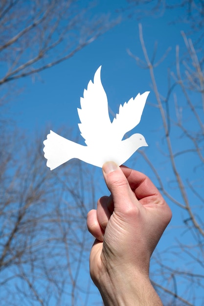 Photo man holds paper pigeon against blue background no war concept make peace