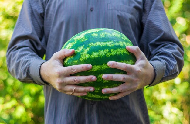 A man holds a ripe green watermelon in his hands