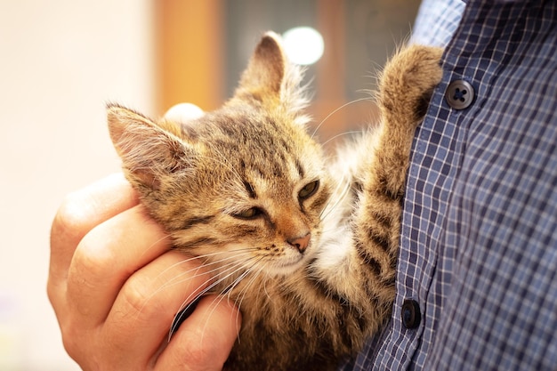 The man holds a small kitten in his arms and hugs him