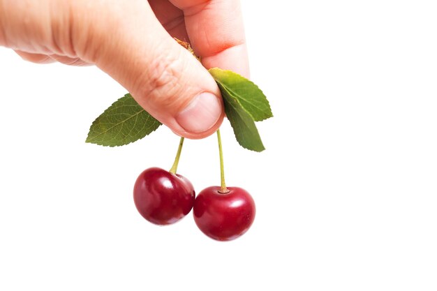 A man holds two ripe cherries in his hand