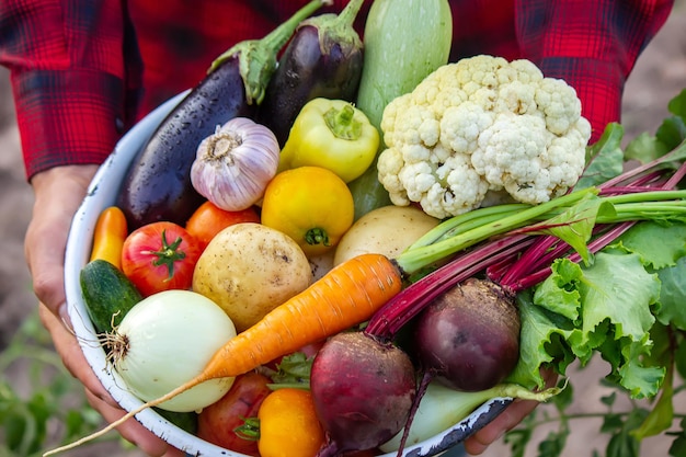 A man holds vegetables from a farm in Minsk.