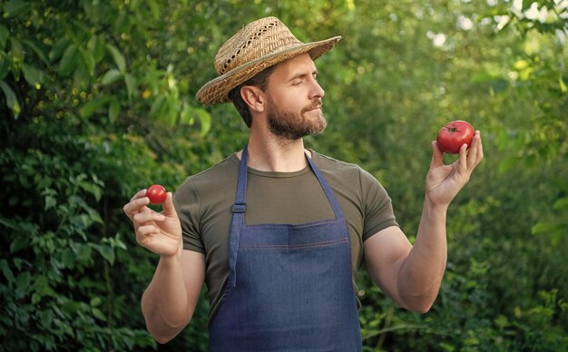 man horticulturist in straw hat with tomato vegetable