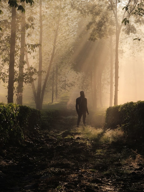 Man in het bos