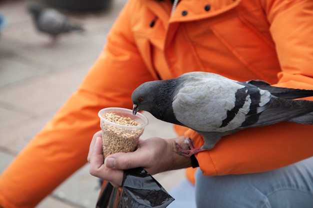 Man in oranje jas die duif vasthoudt en voedt op straat. Hij voert de grijze duif met zijn hand