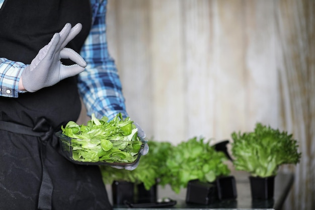 Man in schort en handschoenen houdt een kom verse groene salade vast