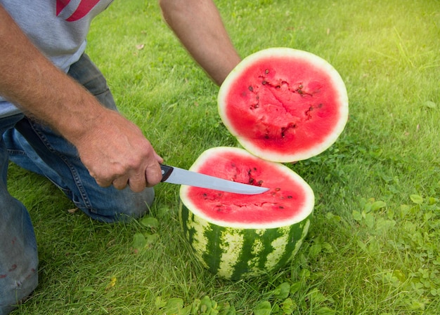 Man in spijkerbroek knielt op het gras en snijdt met een mes een rode rijpe watermeloen voor een zomers familiediner