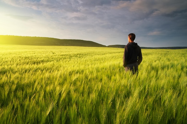 Man in weide groene weide