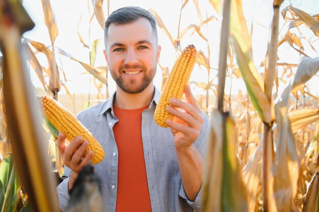 Foto un uomo ispeziona un campo di mais e cerca parassiti coltivatore di successo e agro-azienda