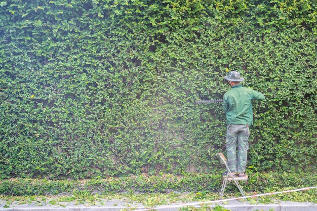 Man is bomen aan het kappen in het park professionele tuinman in een uniform snijdt struiken met tondeuses snoeien tuinhaag werknemer trimmen en landschapsarchitectuur groene struiken hard werken in de tuin clipper