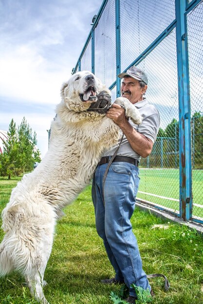 Foto un uomo sta tenendo un cane davanti a una recinzione