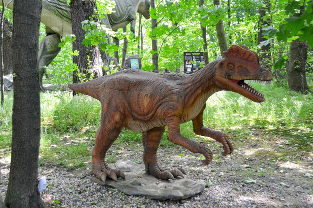 A man is looking at a dinosaur that is on a rock